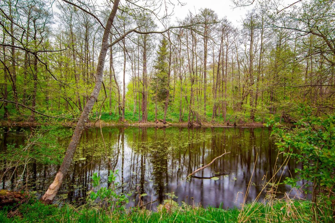 Gajowka Węgorzewo