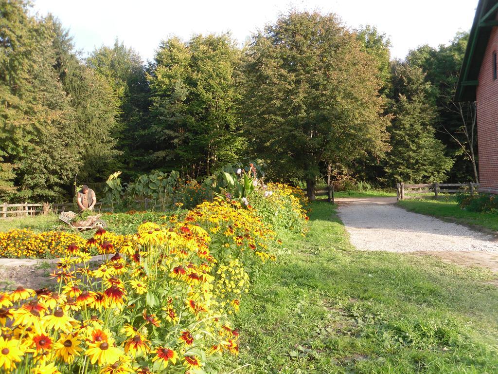 Gajowka * Węgorzewo